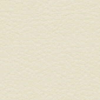 Beige leather-like texture with granular surface, fine lines, and matte finish; imprinted text reads "bross > fabric (std) skill > col."